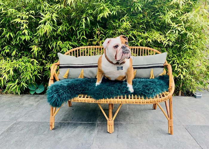 Апартаменты L' Annexe Du 10honfleur *